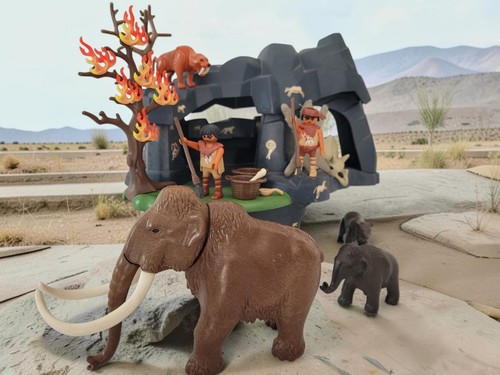 Playmobil steinzeit - playmobil,
